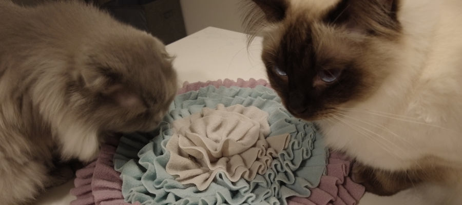 Snuffle Mat for Cats